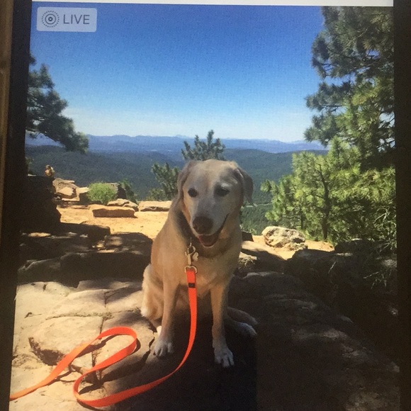 Meet your Posher, Pat - Picture 5 of 8